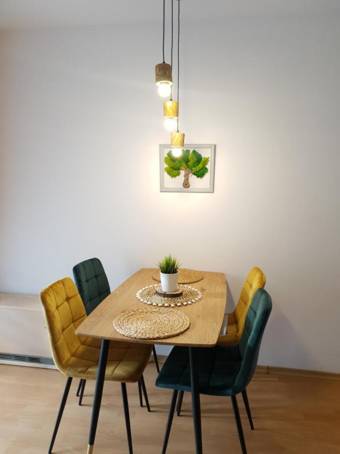 Apartament Bolek I Apartament Lolek زاكوباني المظهر الخارجي الصورة