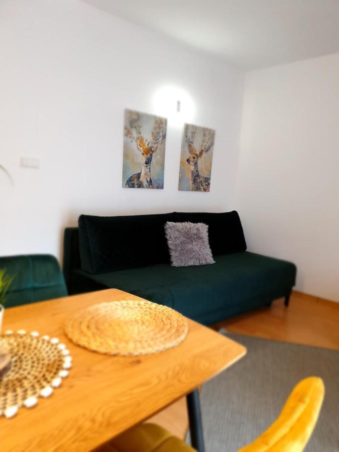 Apartament Bolek I Apartament Lolek زاكوباني المظهر الخارجي الصورة
