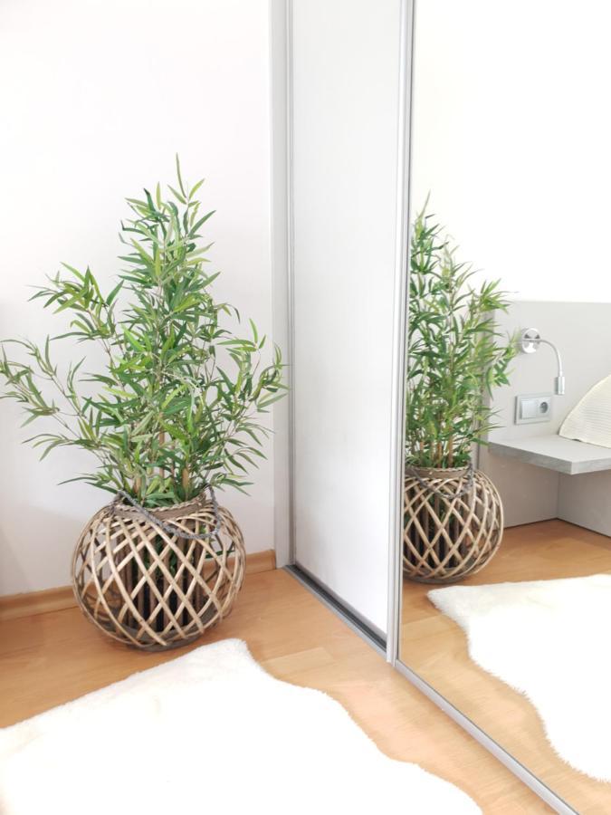 Apartament Bolek I Apartament Lolek زاكوباني المظهر الخارجي الصورة